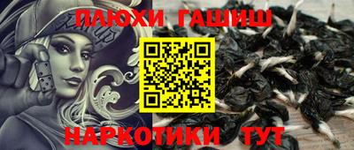 дживик Камень-на-Оби