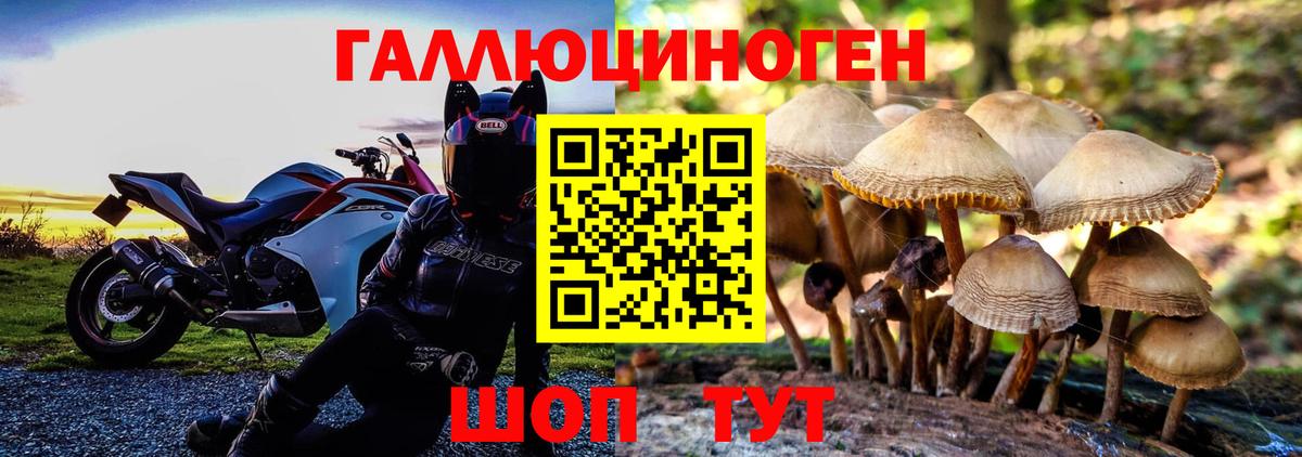 Псилоцибиновые грибы мухоморы  Вход с VPN  Борисоглебск  Галлюциногенные грибы Psilocybine cubensis 